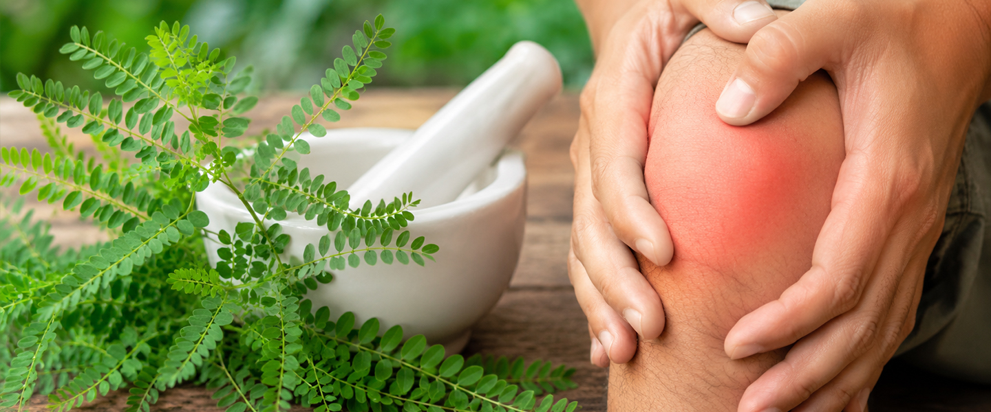 Symptom relief or pain reduction with Phyllanthus niruri
