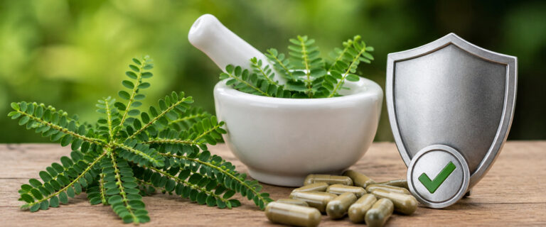 Safety and tolerability of Phyllanthus niruri