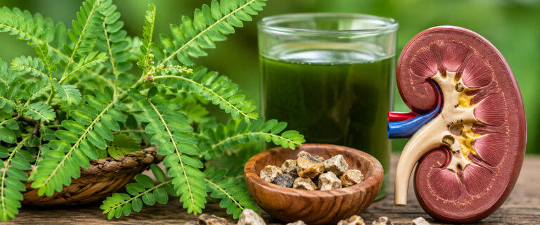 Phyllanthus niruri (Stone Breaker) Herbal Therapy for Kidney Stones